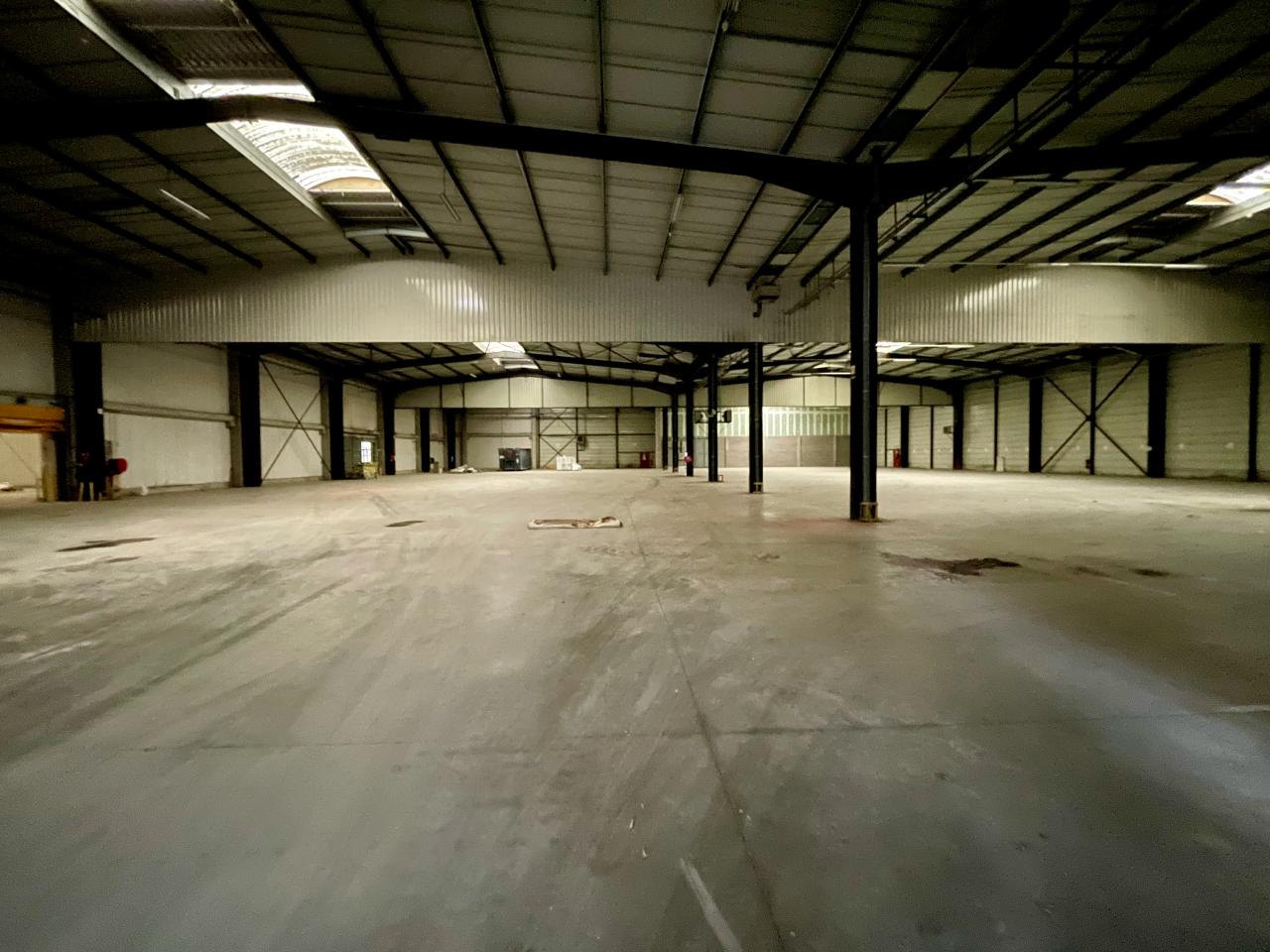 Local d'activité Geispolsheim 7122m² Location local d'activité Geispolsheim Bas-Rhin OLACT2425616 12